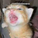 Faah — Terminal Error Sound